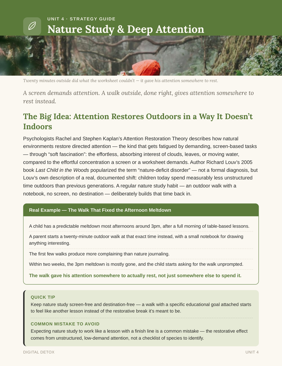 Digital Detox: A Screen-Free Homeschool Curriculum for the Early Years